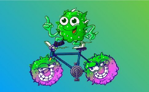 Методы сокращения общего периода выращивания