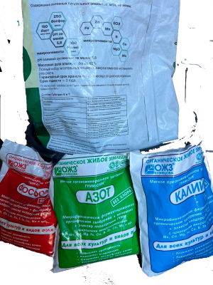 Без имени-1.png