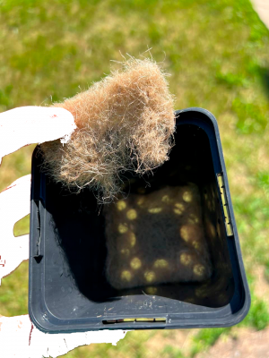 Без имени-1.png