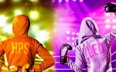 Выращивание конопли в гроубоксе