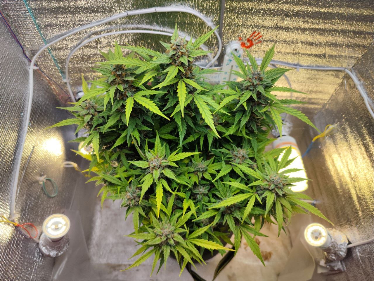 photo_2023-04-24_20-15-44 (2).jpg