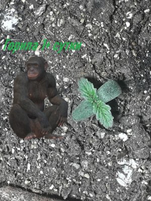 Без имени.jpg