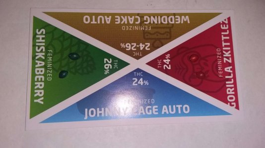 20230603_143054 .jpg