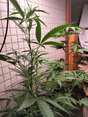 image-2023-07-03 23_06_48.jpg