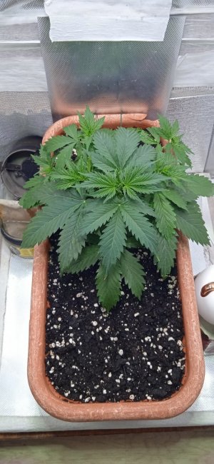 05.07.23_21дн (4).jpg