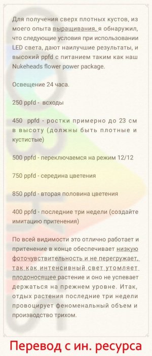 photo_2020-02-07_13-22-04 copy.jpg