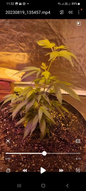 Screenshot_20230820_113234_Video Player.jpg