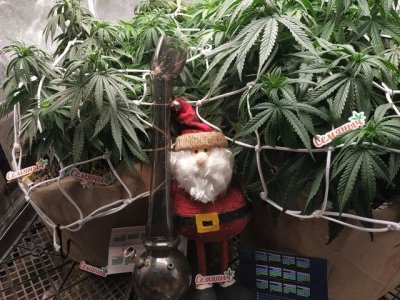 imgonline-com-ua-Resize-LWFBfdxAsHK9 (1).jpg