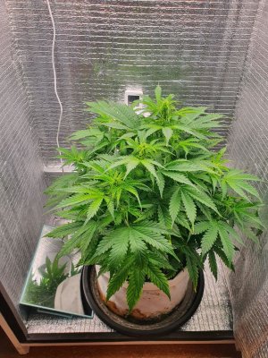 photo_2022-01-27_09-02-59 (2).jpg