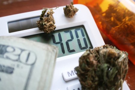 бутон-марихуаны-на-калькуляторе-с-деньгах-высококачественных-106597871.jpg