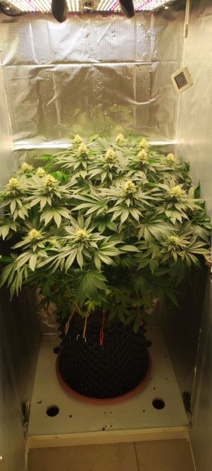 1000009127.jpg 1000009127.jpg