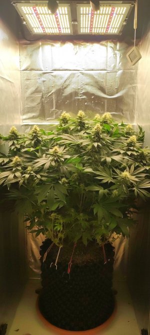 1000009180.jpg 1000009180.jpg