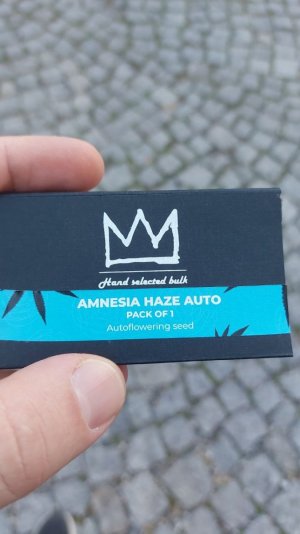 не взошло.jpg