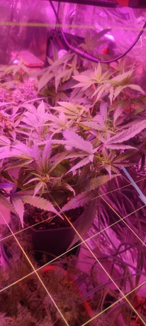 WhatsApp Image 2024-04-20 at 10.05.18 (1).jpeg