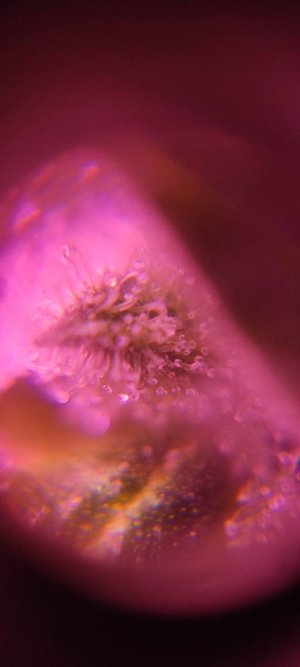 WhatsApp Image 2024-04-28 at 13.56.17 (1).jpeg