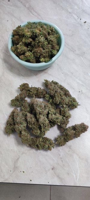 1000009942.jpg 1000009942.jpg