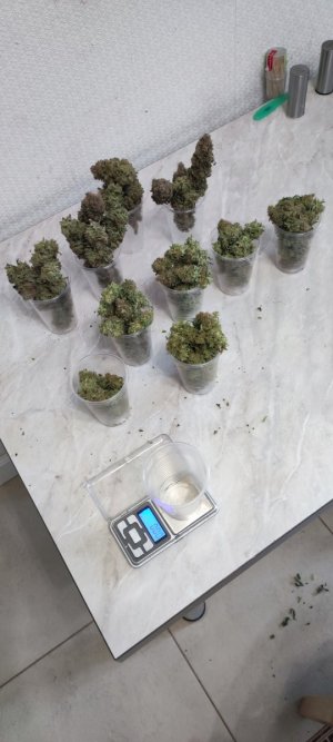 1000009944.jpg 1000009944.jpg