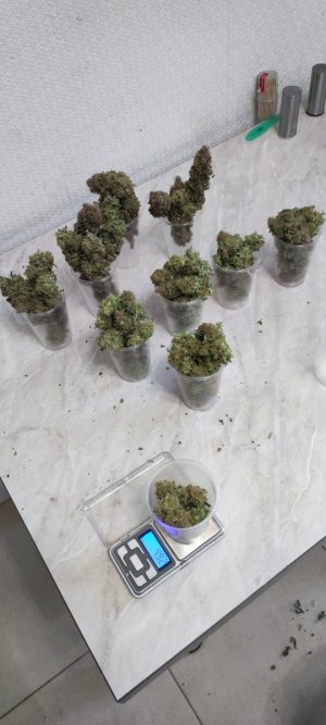 1000009945.jpg 1000009945.jpg