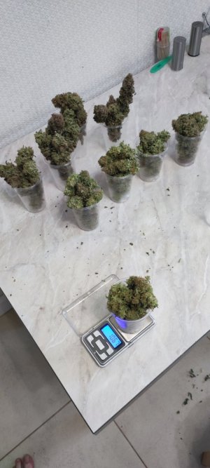 1000009946.jpg 1000009946.jpg