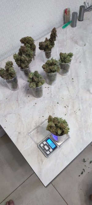 1000009947.jpg 1000009947.jpg