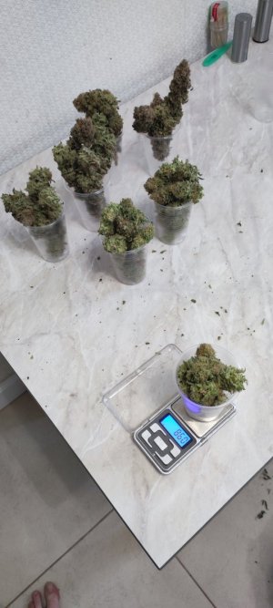 1000009948.jpg 1000009948.jpg