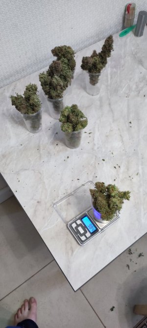 1000009949.jpg 1000009949.jpg