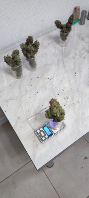 1000009952.jpg 1000009952.jpg