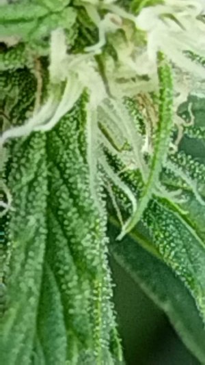 2024-5-20 8-43-40.jpg