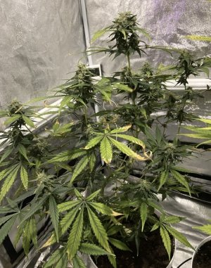 75 день (14.04.24.).jpg