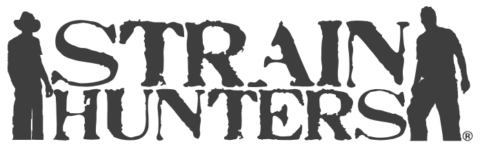 strain.png