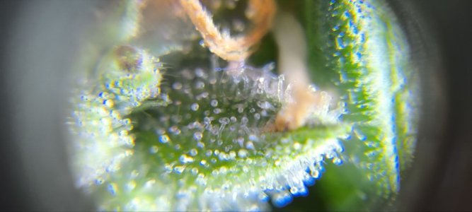 photo1719148012 (6).jpeg