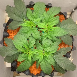 FullSizeRender (4).jpg