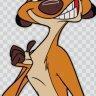 timon